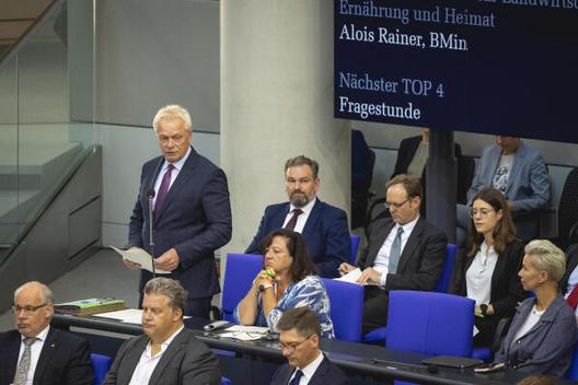 Rainer, Alois Reichstagsgebäude, Plenarsaal