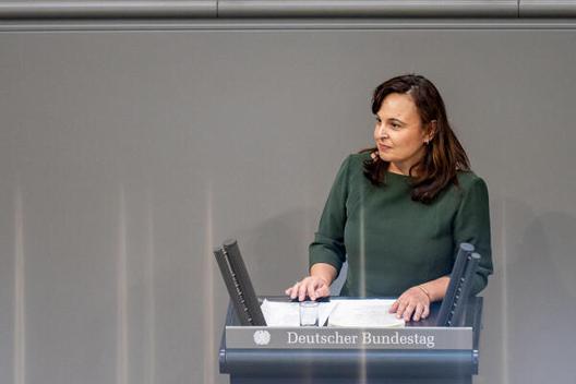 Asar, Ayse Reichstagsgebäude, Plenarsaal