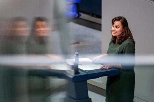 Asar, Ayse Reichstagsgebäude, Plenarsaal