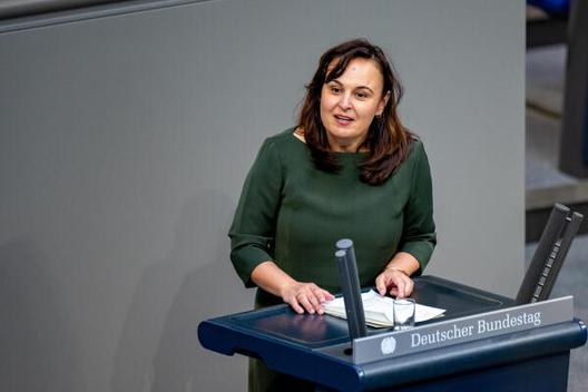 Asar, Ayse Reichstagsgebäude, Plenarsaal