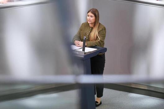 Bilder der Kategorie Plenarsaal