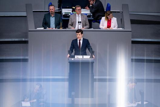 Wiegelmann, Johannes Reichstagsgebäude, Plenarsaal