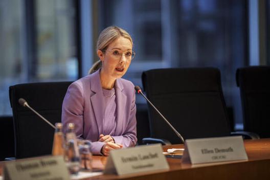 Demuth, Ellen Paul-Löbe-Haus, Sitzungssaal