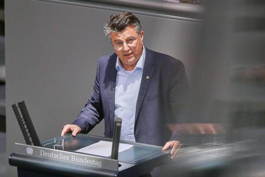 Mijatovic, Boris Reichstagsgebäude, Plenarsaal