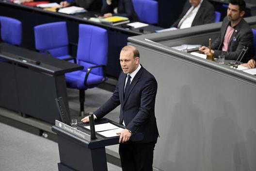 Preisendanz, David Reichstagsgebäude, Plenarsaal
