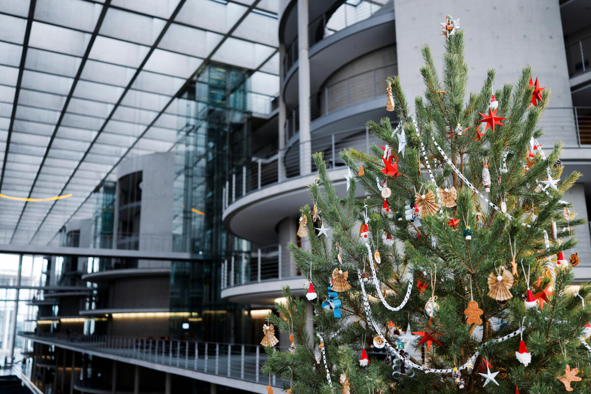  Bundestagsvizepräsident Omid Nouripour, Bündnis 90/Die Grünen, MdB, nimmt den Weihnachtsbaum des Naturparks Barnim entgegen. Hier der Weihnachtsbaum mit Blick in die Halle des Paul-Löbe-Hauses.