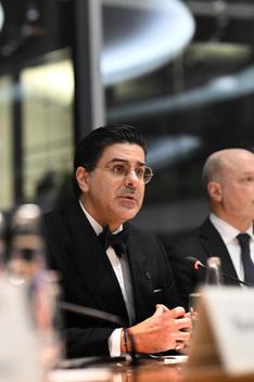 Mijatović, Boris Paul-Löbe-Haus, Sitzungssaal