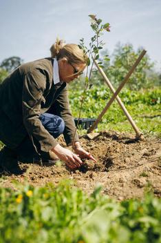 Klöckner, Julia Keine Bundestagsliegenschaft