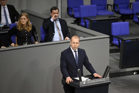 Preisendanz, David Reichstagsgebäude, Plenarsaal