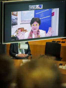  Marie-Elisabeth-Lüders-Haus, Anhörungssaal