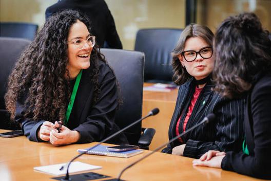  Marie-Elisabeth-Lüders-Haus, Anhörungssaal