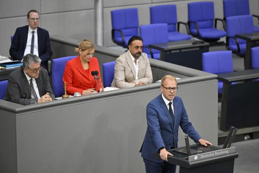 Bollmann, Hendrik Reichstagsgebäude, Plenarsaal