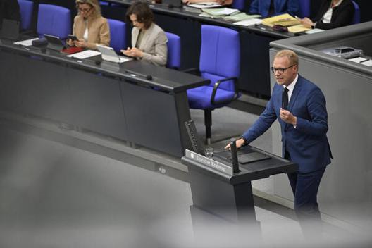 Bollmann, Hendrik Reichstagsgebäude, Plenarsaal