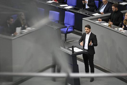 Dieren, Jan Reichstagsgebäude, Plenarsaal