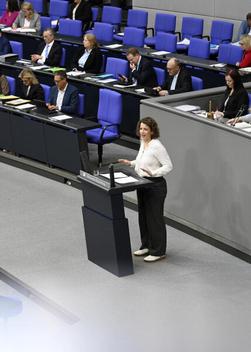 Seitzl, Lina Reichstagsgebäude, Plenarsaal