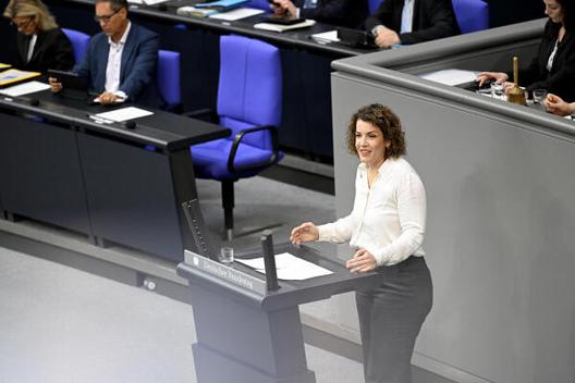Seitzl, Lina Reichstagsgebäude, Plenarsaal
