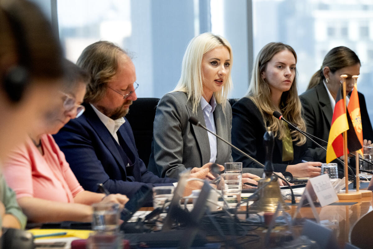 Gorcevic, Maida Maida Gorcevic, Bildmitte, Ministerin für European Affairs of Montenegro, spricht im Ausschuss für die Angelegenheiten der europäischen Union.